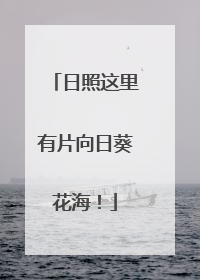日照这里有片向日葵花海！